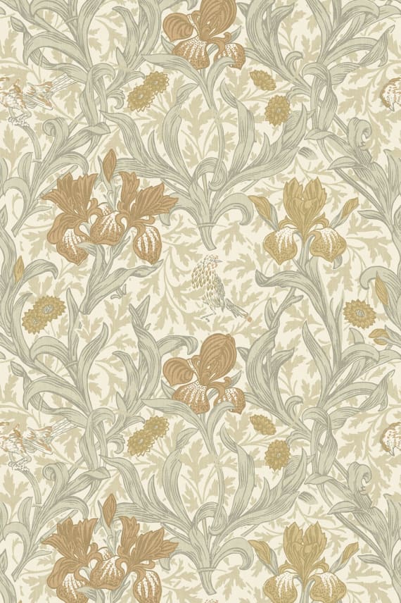 IRIS beige